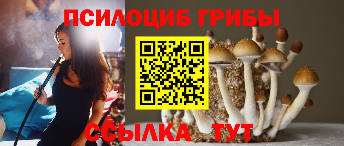 Галлюциногенные грибы прущие грибы  Вход с VPN  сколько стоит  Псилоцибиновые грибы Cubensis  Котлас 