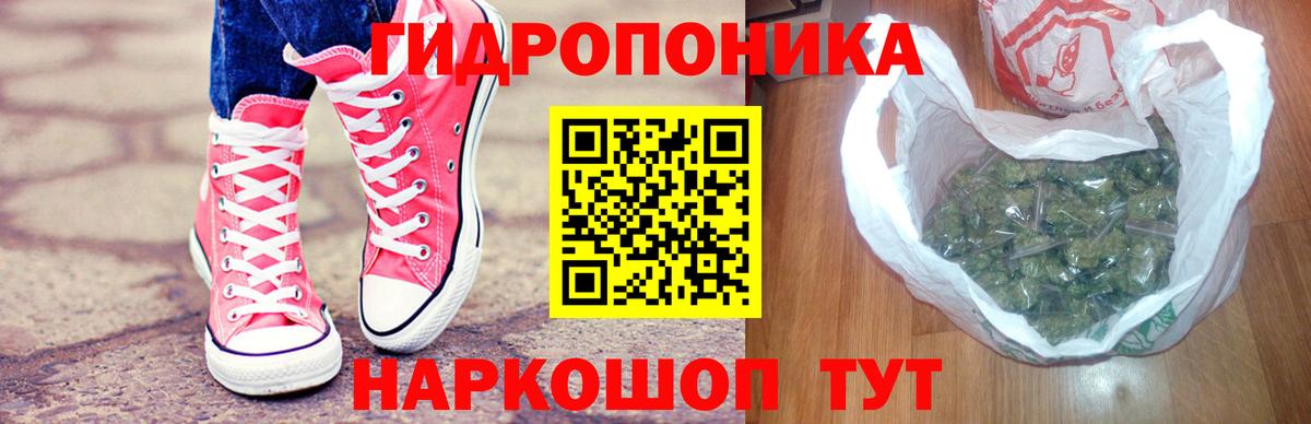 Каннабис конопля Котлас